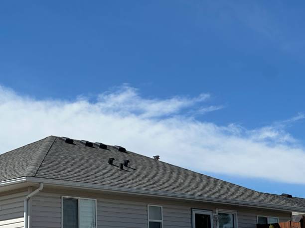 Best Steel Roofing  in Clarkston Heights Vineland, WA